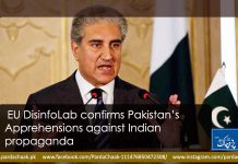 EU DisinfoLab confirms Pakistan’s apprehensions against Indian propaganda
