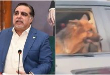 “The dog was there to protect my family amid no police mobile accompanying” Governor Sindh Ismael