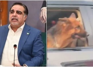 “The dog was there to protect my family amid no police mobile accompanying” Governor Sindh Ismael “The dog was there to protect my family amid no police mobile accompanying” Governor Sindh Ismael