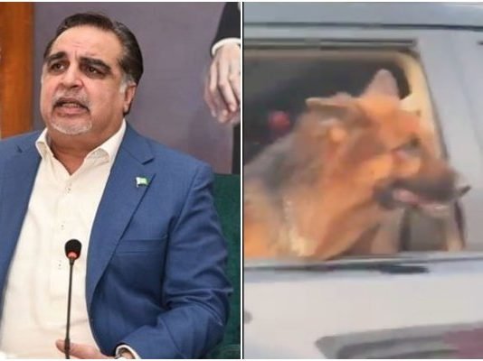 “The dog was there to protect my family amid no police mobile accompanying” Governor Sindh Ismael