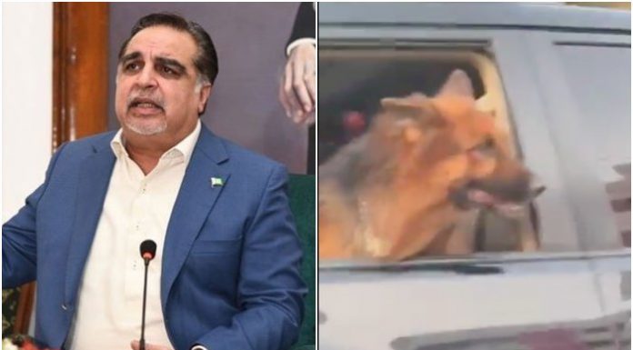 “The dog was there to protect my family amid no police mobile accompanying” Governor Sindh Ismael