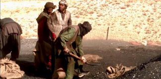 11 Shia Hazara miners shot dead in Balochistan
